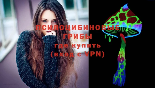 хмурый Горняк